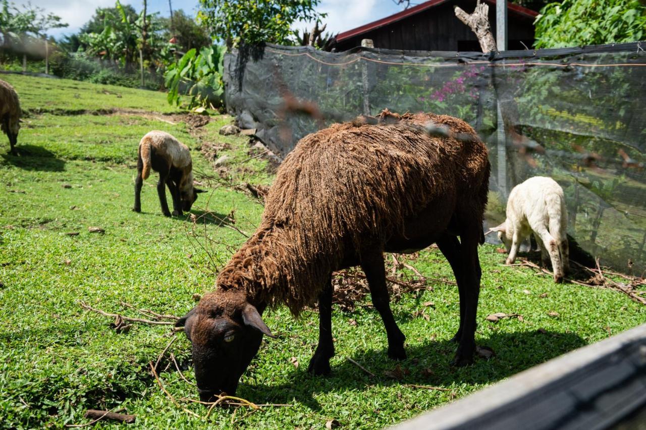 Hotel & Spa Escondite De La Montana Sabana Redonda Zewnętrze zdjęcie